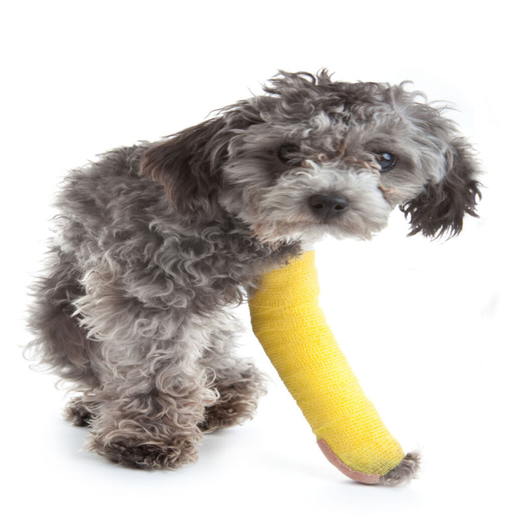 Bone Plating Surgery