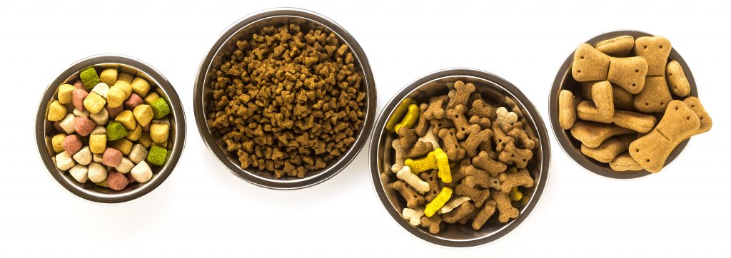  Basic Nutrition For Dogs