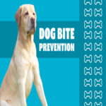 Dog Bite Prevention