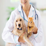 Dog Health Insurance