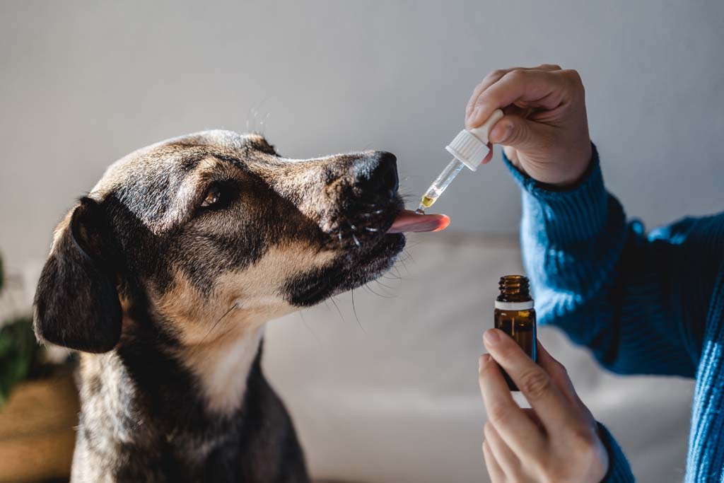 Homeopathic Medicine