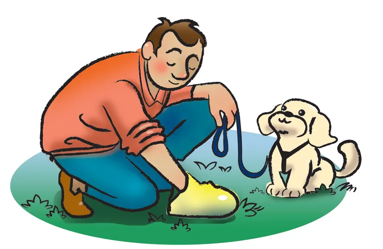 Dogs Responsibility