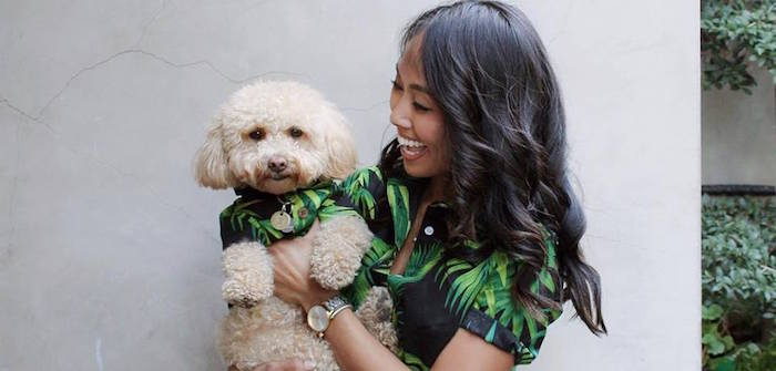Matching dogs and people