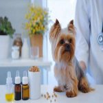 360-f-847497471-lcs7todgvnxpgcwwmygj9rxrv25fz3zj-homeopathic-veterinary-medicine-distributors-4-3eayu_1024x1024