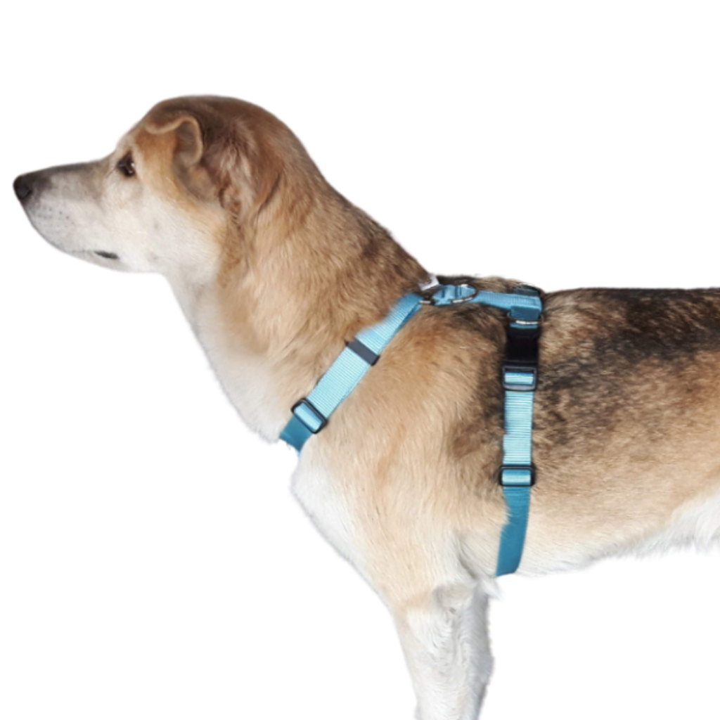 Tellington Touch Dog Harness