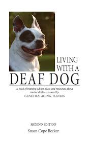 Living with a deaf dog