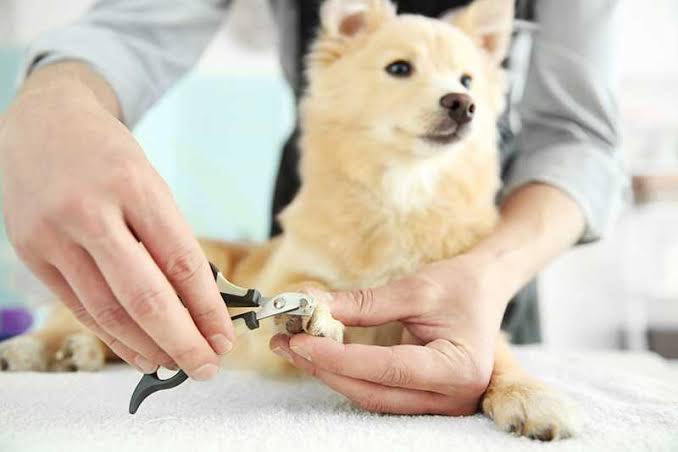 Nail clipping 