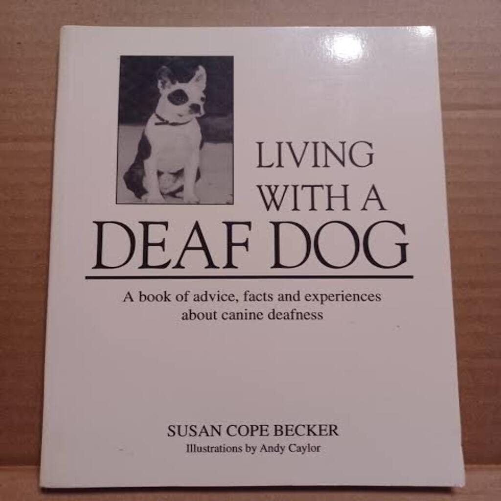Living with a deaf dog