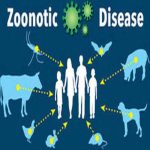 Zoonotic diseases
