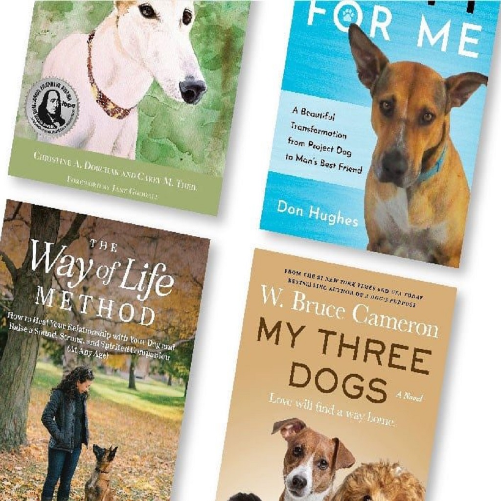 Gift Books For New Dog Owners: A Perfect Guide