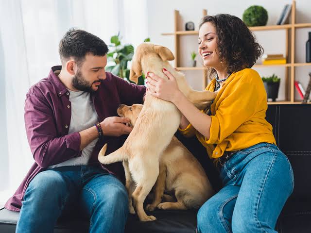 How to socialize your puppy