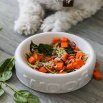 Natural Food Recipes for Healthy Dogs