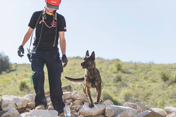 Why People Do Rescue