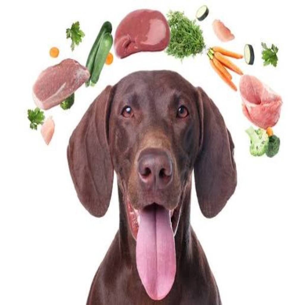 Nutrient Requirement of Dogs