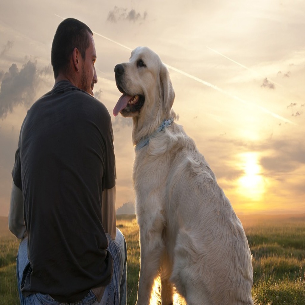 The Domestic Dog – Complete Guide to Man’s Best Friend