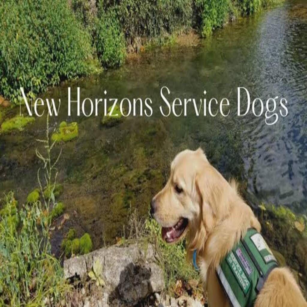 New horizons for therapy dogs: A Perfect Guide