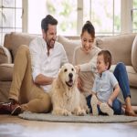 Dog Training For Children And Parents