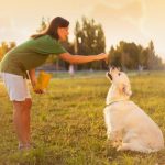 Dog Tricks